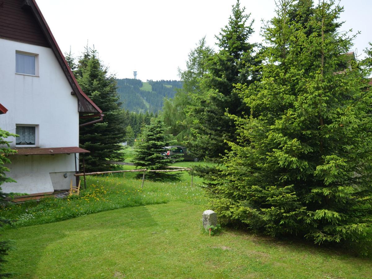 Nice Holiday Home In The Ore Mountains Only 500M From The Chairlift Лоучна-под-Клиновцем Экстерьер фото